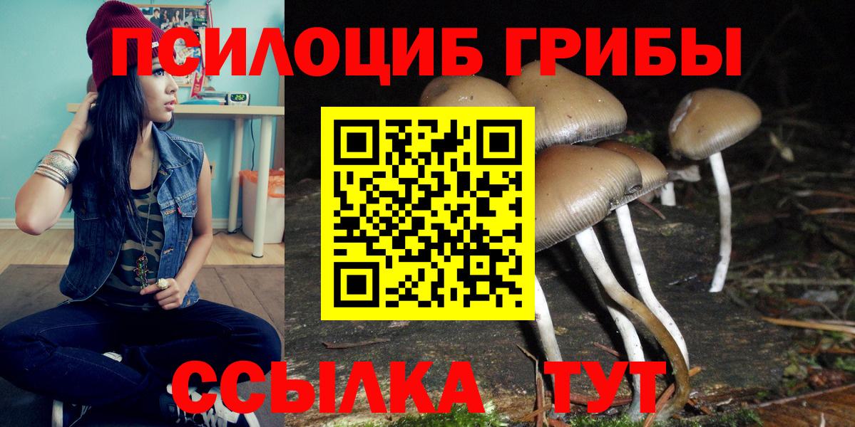 Псилоцибиновые грибы Psilocybe  Вход с VPN  купить   Кропоткин 